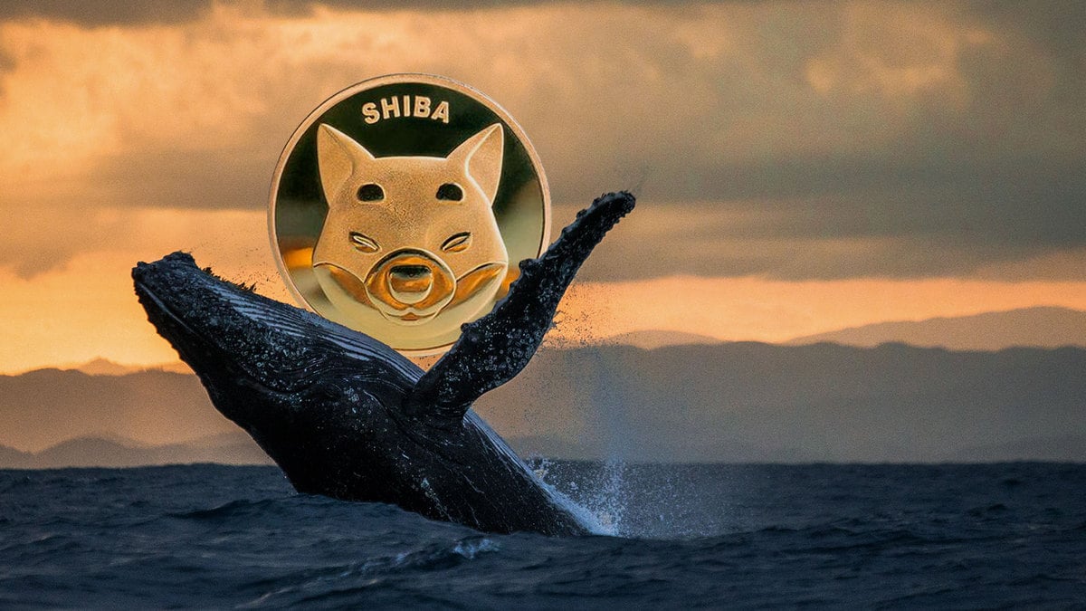 SHIB Beats MATIC, LINK, MANA as Number 1 Asset for Whales: Report