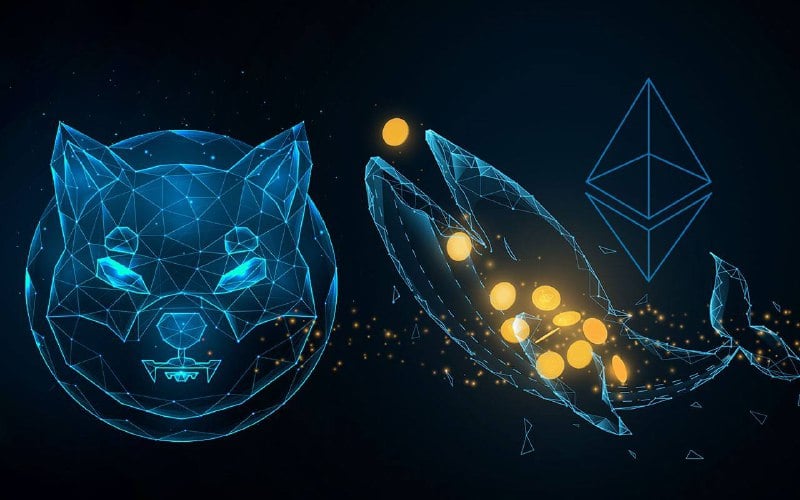 Shiba Inu (SHIB) Once Again Becomes Most Used Smart Contract by 5000 Largest Ethereum Whales