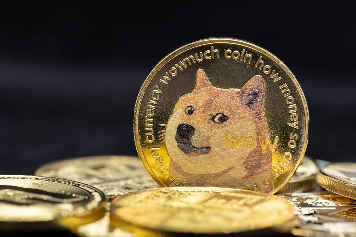 dogecoin owned by elon musk