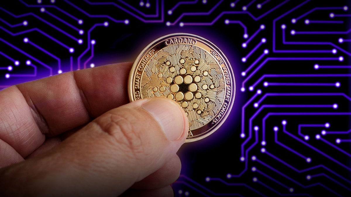 Here’s Why Cardano’s Decentralization Networking Update Is Most Important Part of Vasil