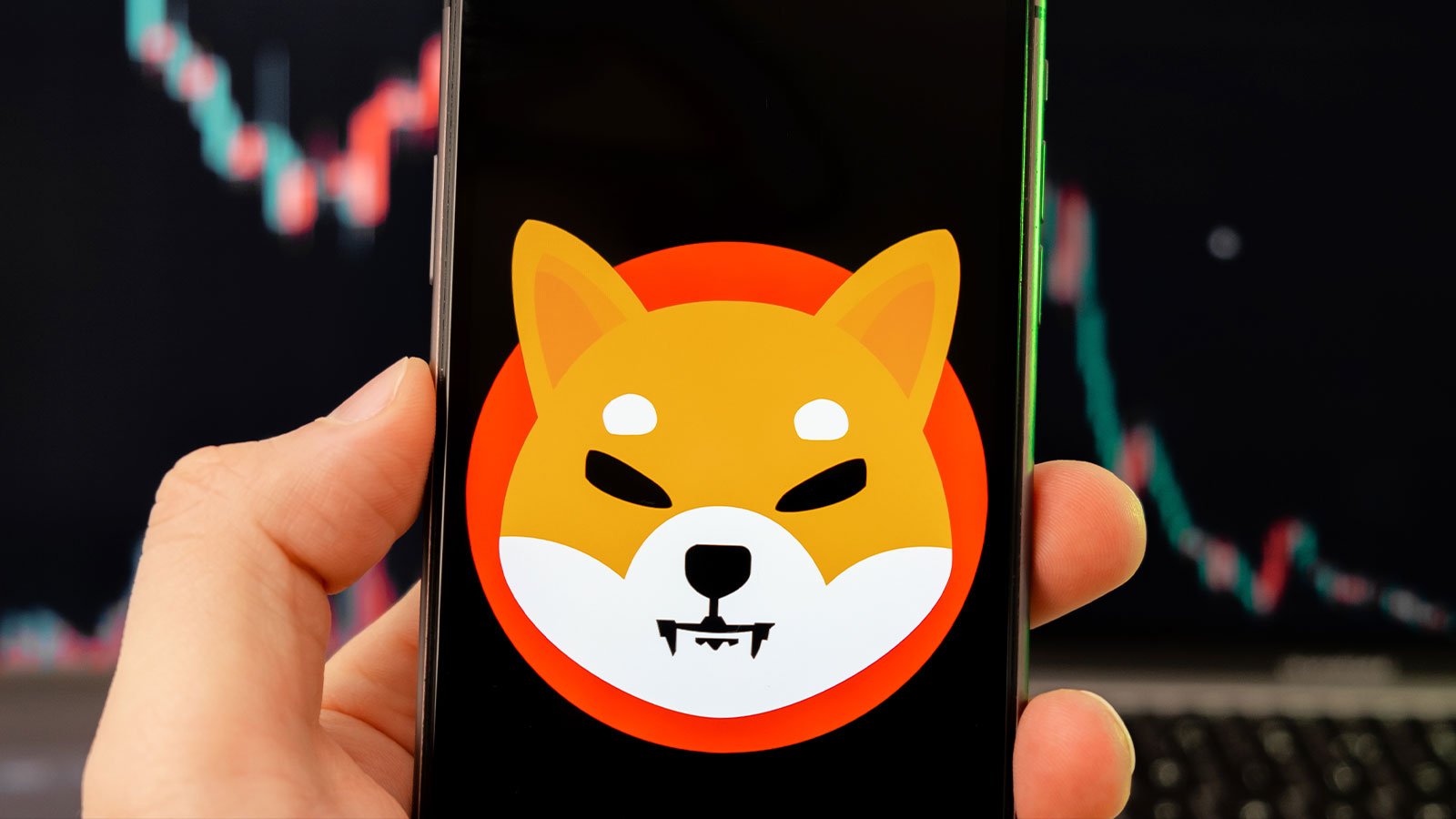 Shiba Inu Slips in Rankings After Sell-Off
