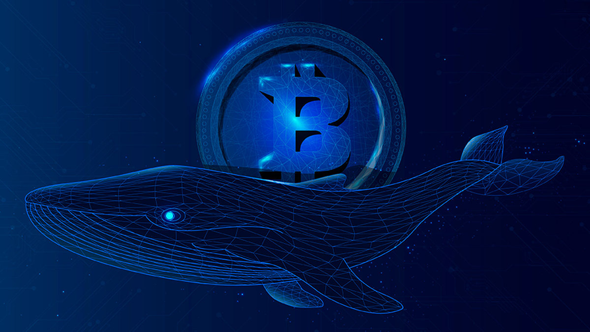 Ancient Bitcoin Whales Are Awakening, What's Happening?