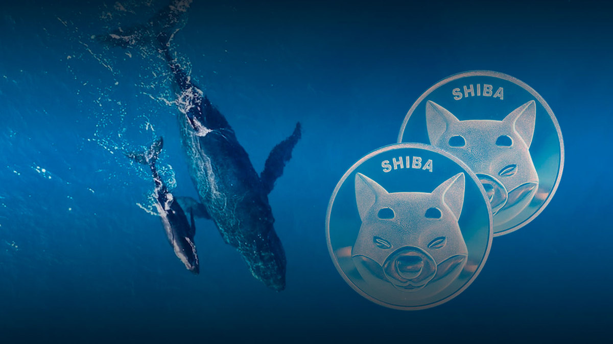 Shiba Inu Whales Timing the SHIB Price Moment as Transactions Jump 275%