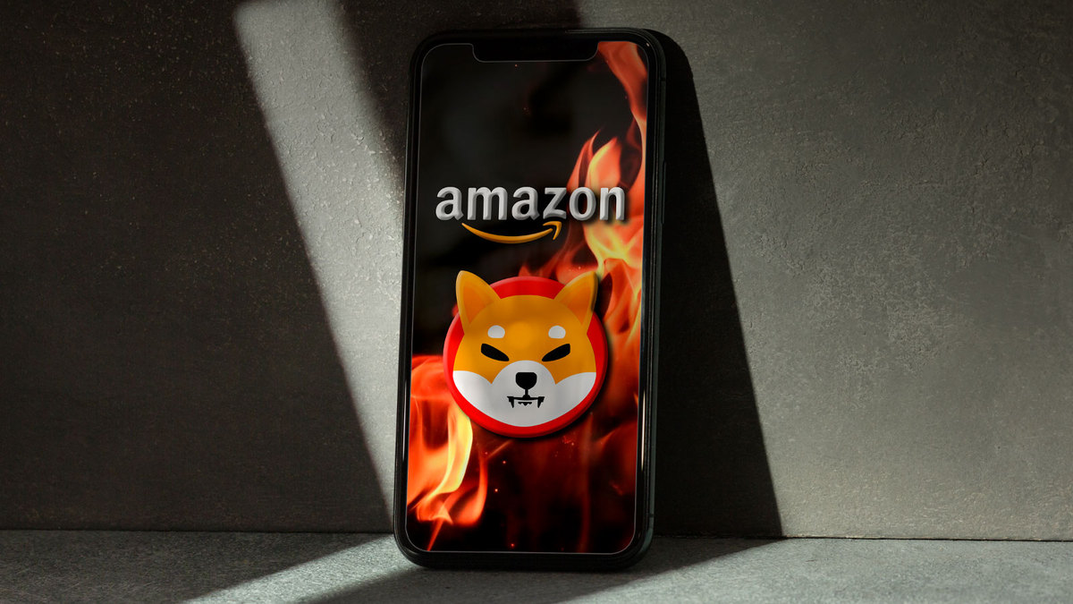 Burning Billions of SHIB Daily Definitely Possible with Amazon, Here’s How: SHIB Burner