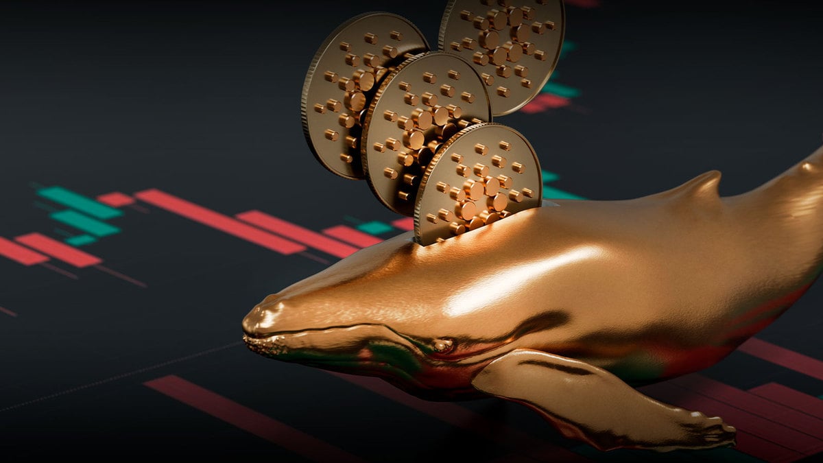 Cardano Whales Grab $138 Million in ADA, Here’s Why It Could Be Interesting: Santiment