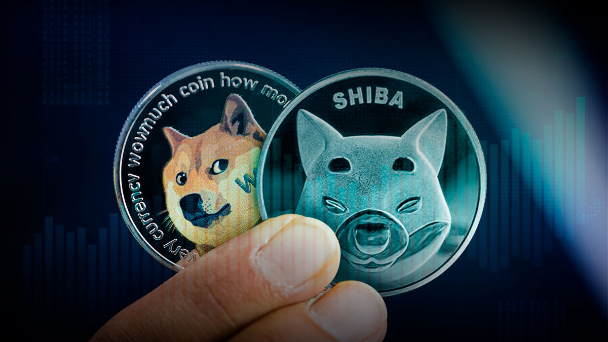 Shiba Inu, Dogecoin Post Gains as Meme Cryptocurrencies’ Trading Volume Spike 151%