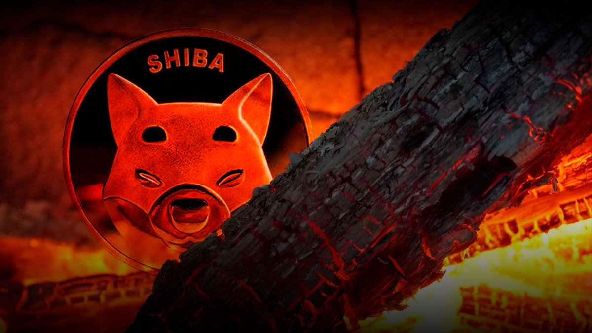 711 Million SHIB Burned in the Last Week, Shiba Inu Burn Rate Up 824%