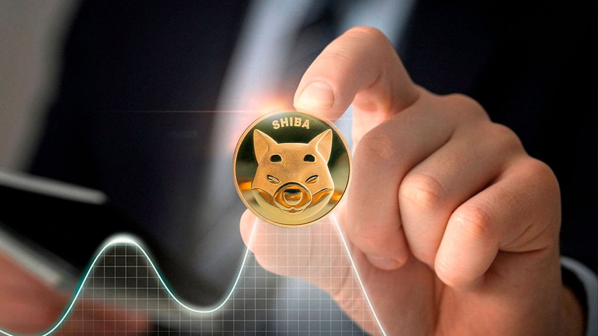 Shiba Inu (SHIB) 25% Rally Was Caused By This Group Of Investors