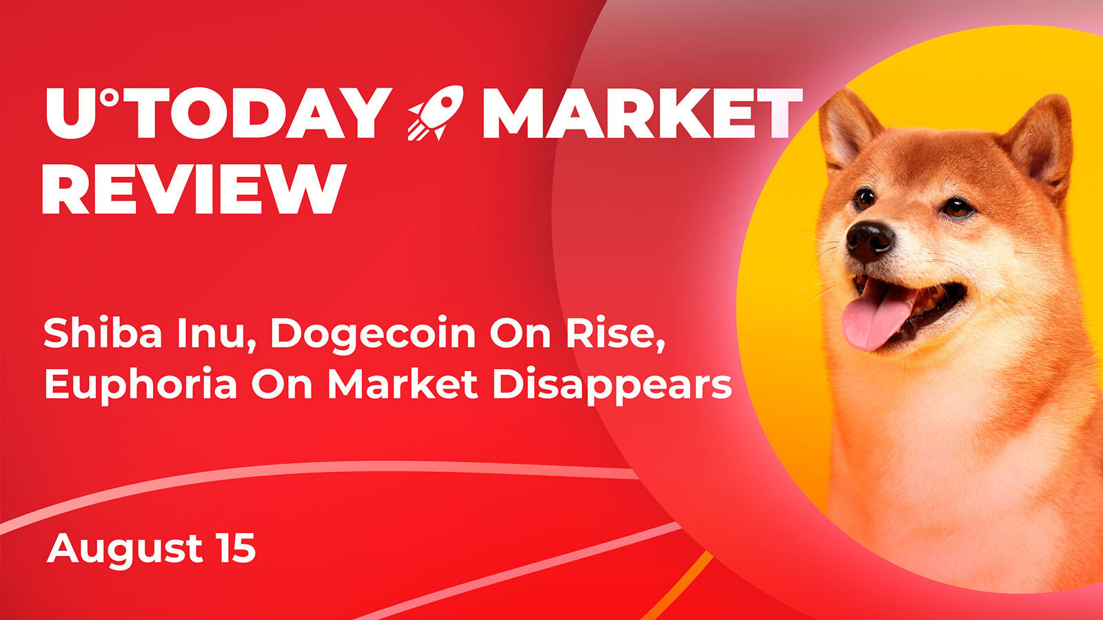 Shiba Inu, Dogecoin On Rise While Euphoria On Market Disappears: Crypto Market Review, August 15