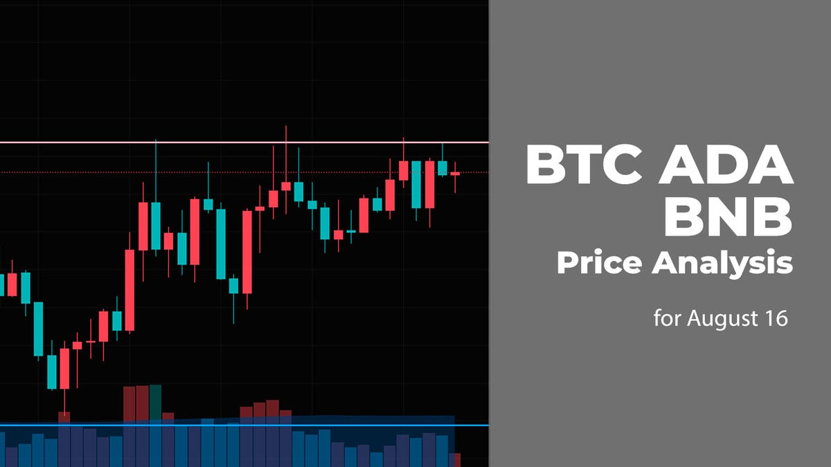 BTC, ADA, and BNB Price Analysis for August 16