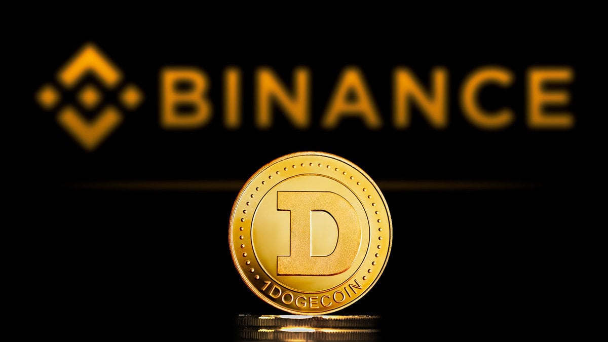 776 Million Dogecoin Moved by Anons, 1/3 Goes to Binance: Details