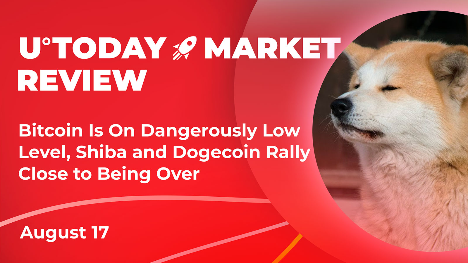 Bitcoin Is On Dangerously Low Level, Shiba and Doge Rally Close to Being Over: Crypto Market Review, August 17