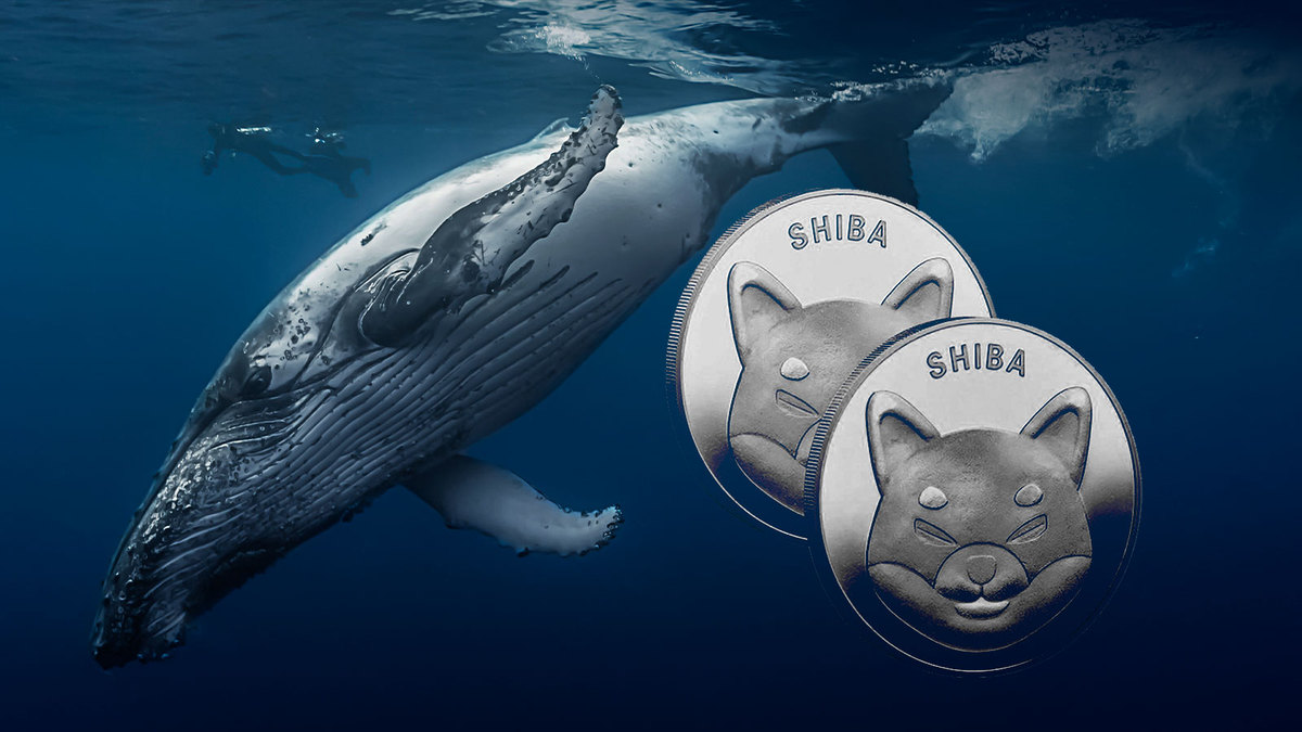 $193 Million in SHIB End Up in Whales’ Wallets as They Increase Holdings