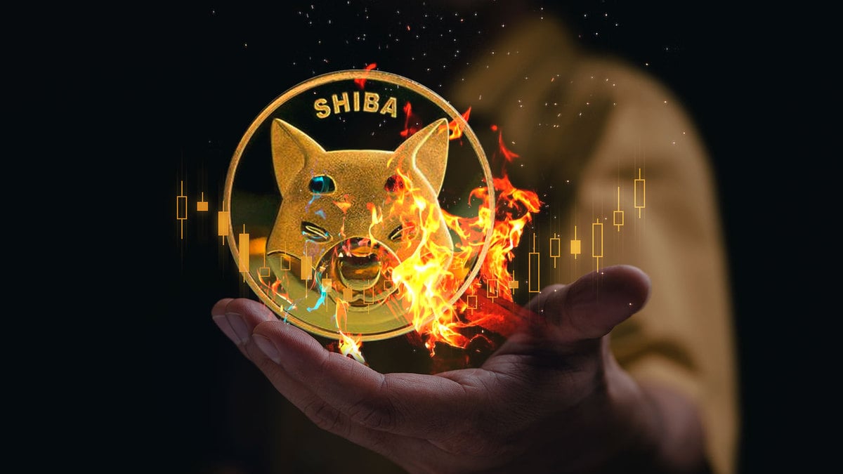 SHIB Burn Rate 242.50% Up As Another 133 Million Shiba Gets Burned