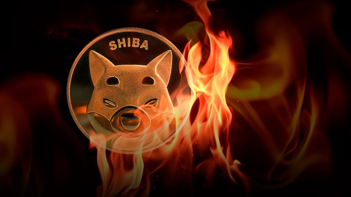 More Than Half a Billion SHIB Burned in Past Week as Shiba Inu Returns to Whales’ Radar