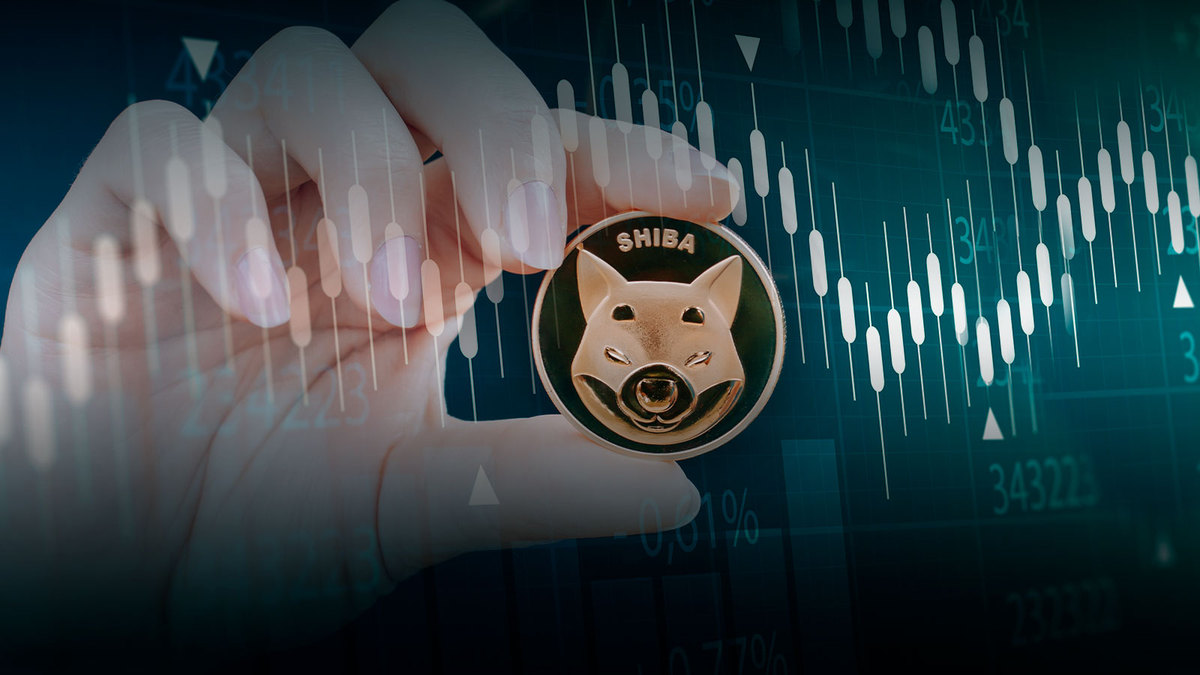 Shiba Inu Large Holders Might Be Timing the Market as Transactions Suddenly Spike 84%