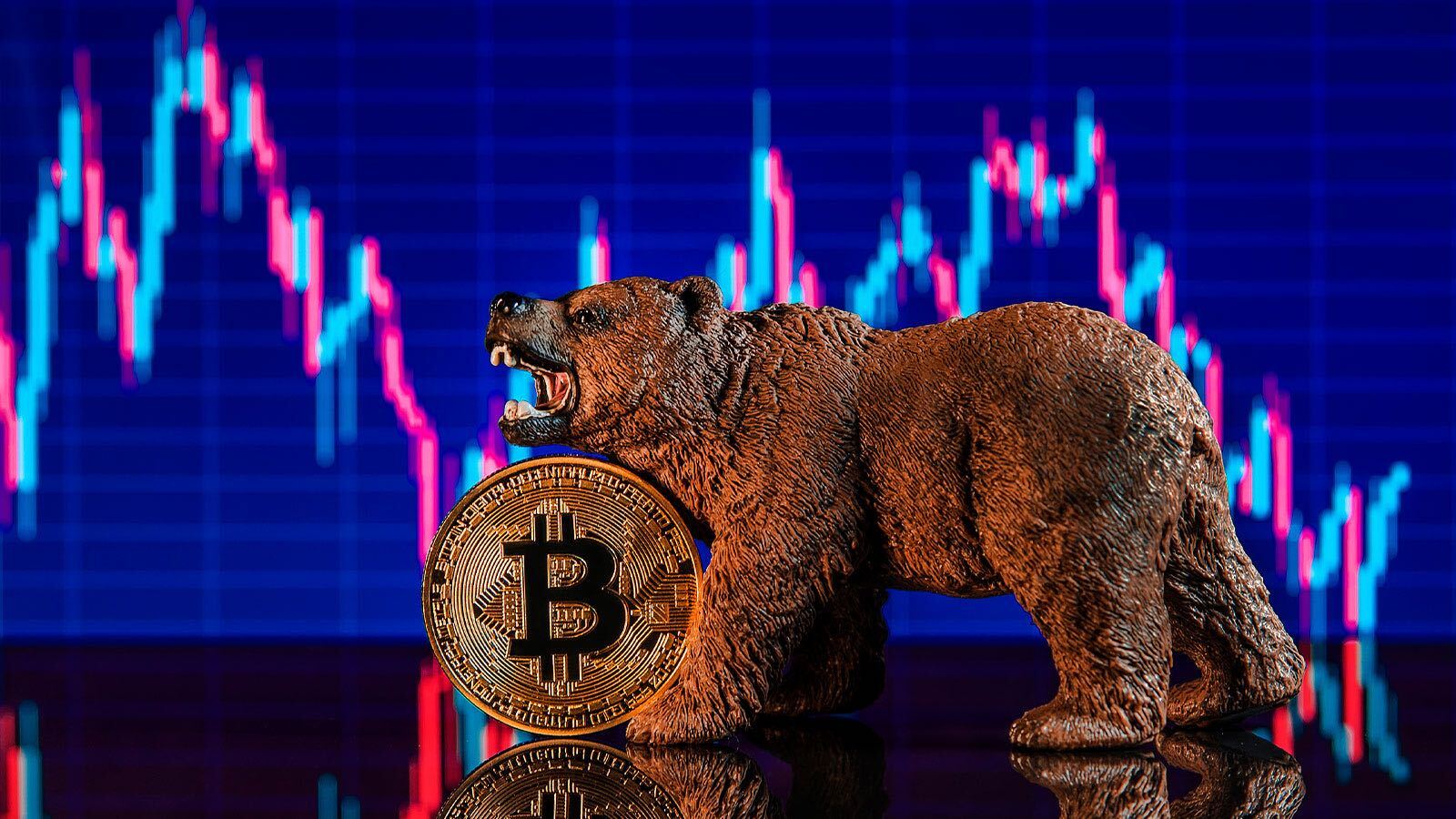 Here Is When Bitcoin Bottom Will Occur According to Previous Bearish Cycles