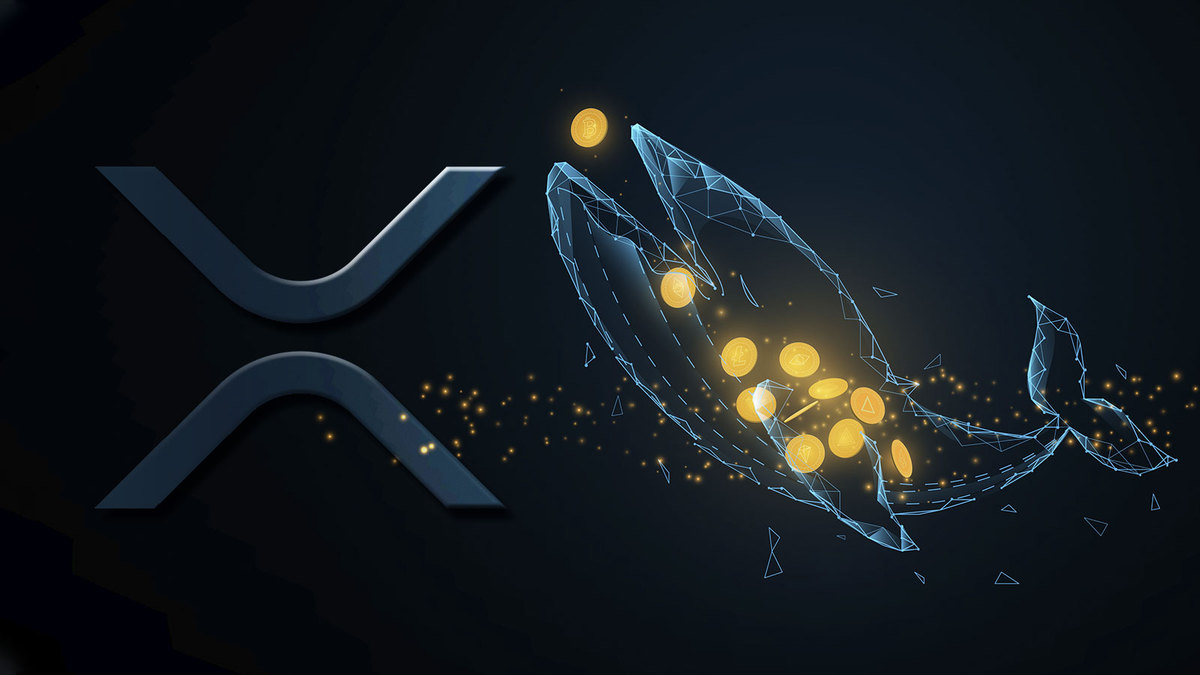 Whales Shift 550 Million XRP As They Might Be Selling