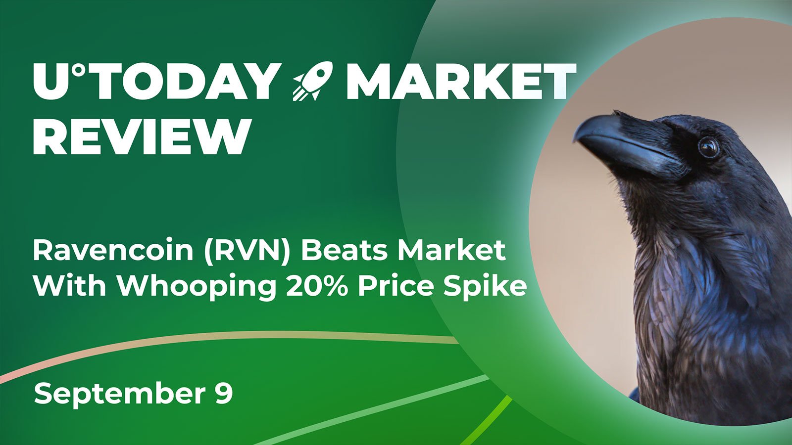 Ravencoin (RVN) Beats Market With Whooping 20% Price Spike: Crypto Market Review, September 9