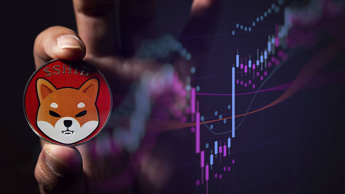 Shiba Inu Closes the Gap to Dogecoin As SHIB Goes Up In Market Cap Top: Details
