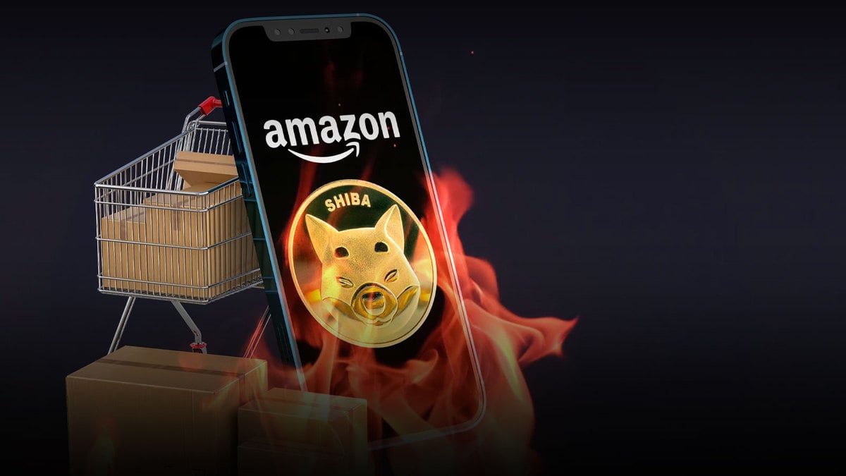 SHIB Burn Rate Spikes 889%, While Amazon Burner Removes Almost 3 Billion SHIB in Total