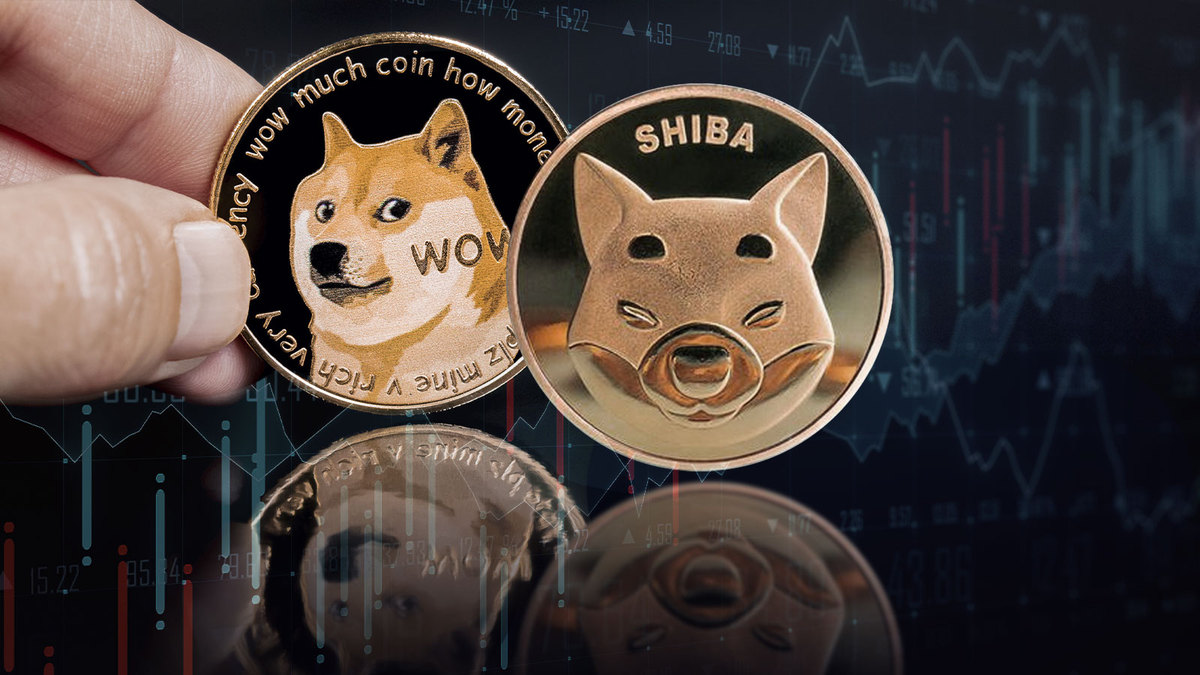 Shiba Inu-Dogecoin Led Meme Economy Sees 16% Jump in Trading Volumes Amid Market Drop