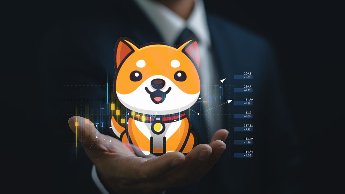 BabyDoge Holder Number Again Surpasses SHIB After Reaching New All-Time High