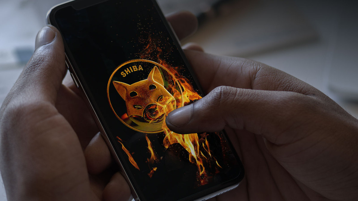 Tens of Trillions of SHIB Could Be Burned with This New App: Details