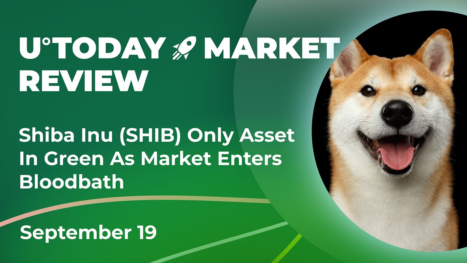Shiba Inu (SHIB) Only Asset In Green As Market Enters Bloodbath: Crypto Market Review, September 19