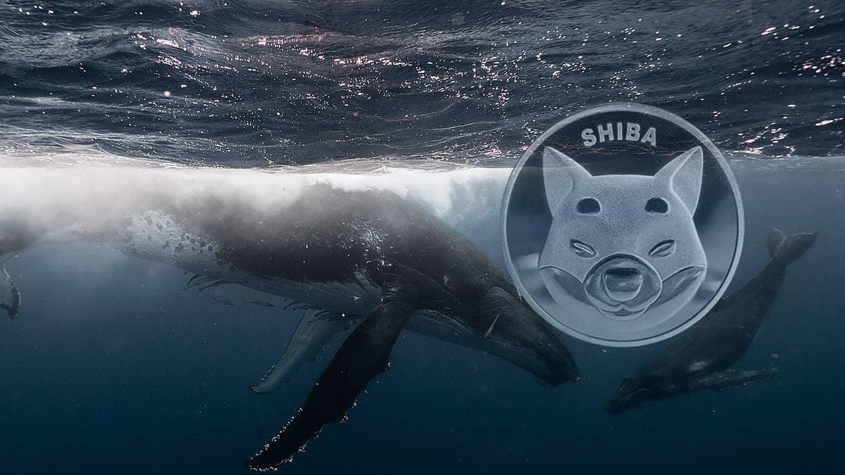 Whales Dump Record 1.2 Trillion SHIB, Here’s How They Wanted to Benefit Here
