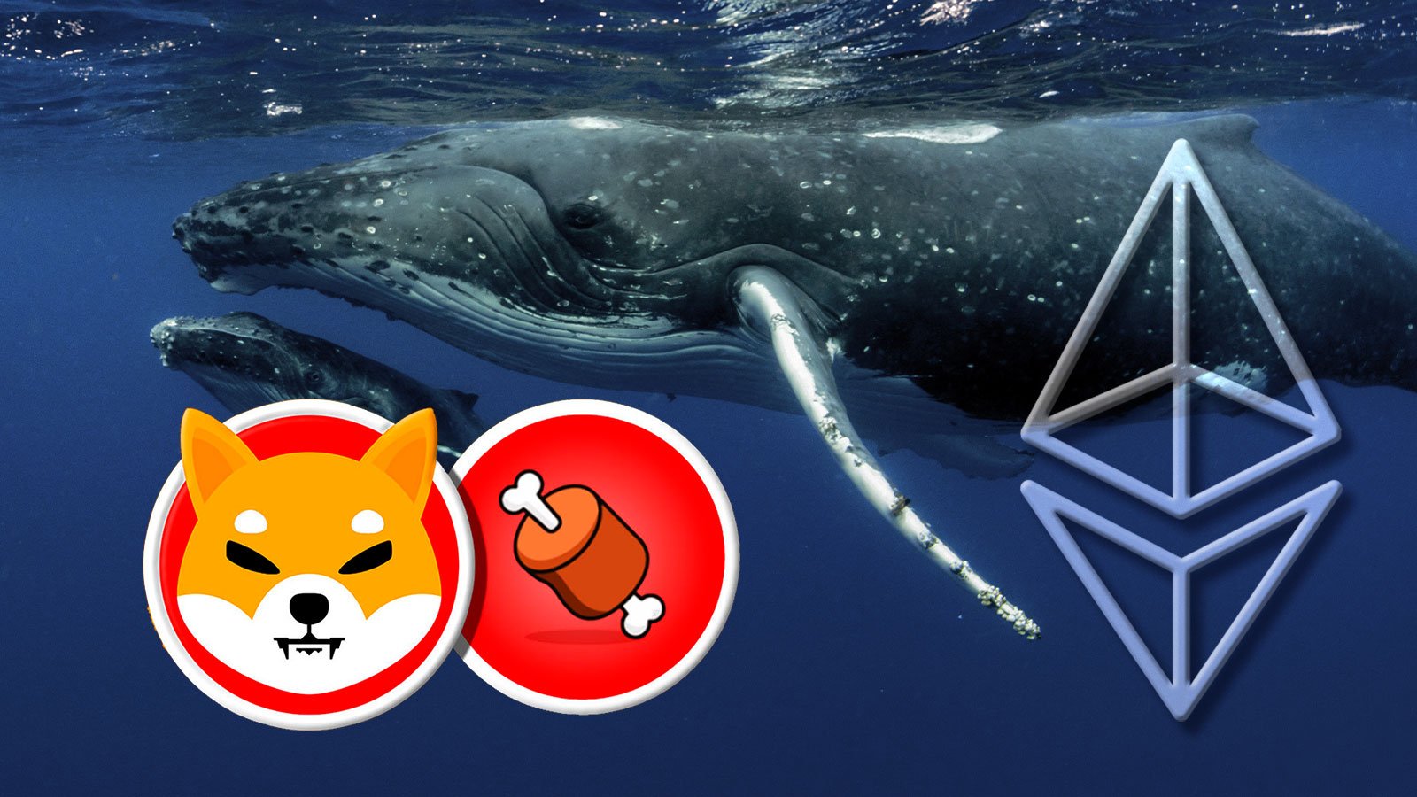 Shiba Inu’s BONE Gains Solid Traction Among Ethereum Whales: Details