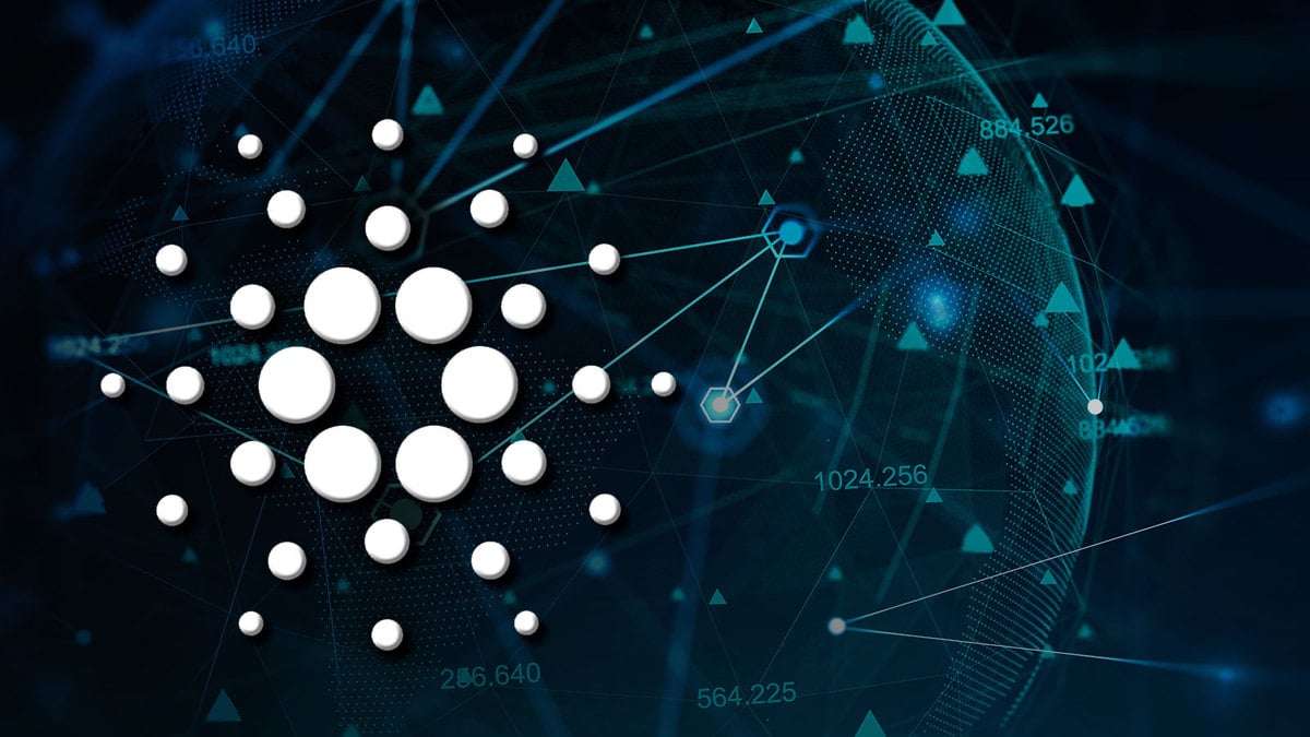 Cardano Vasil: Here’s How the Network Looks Three Days After