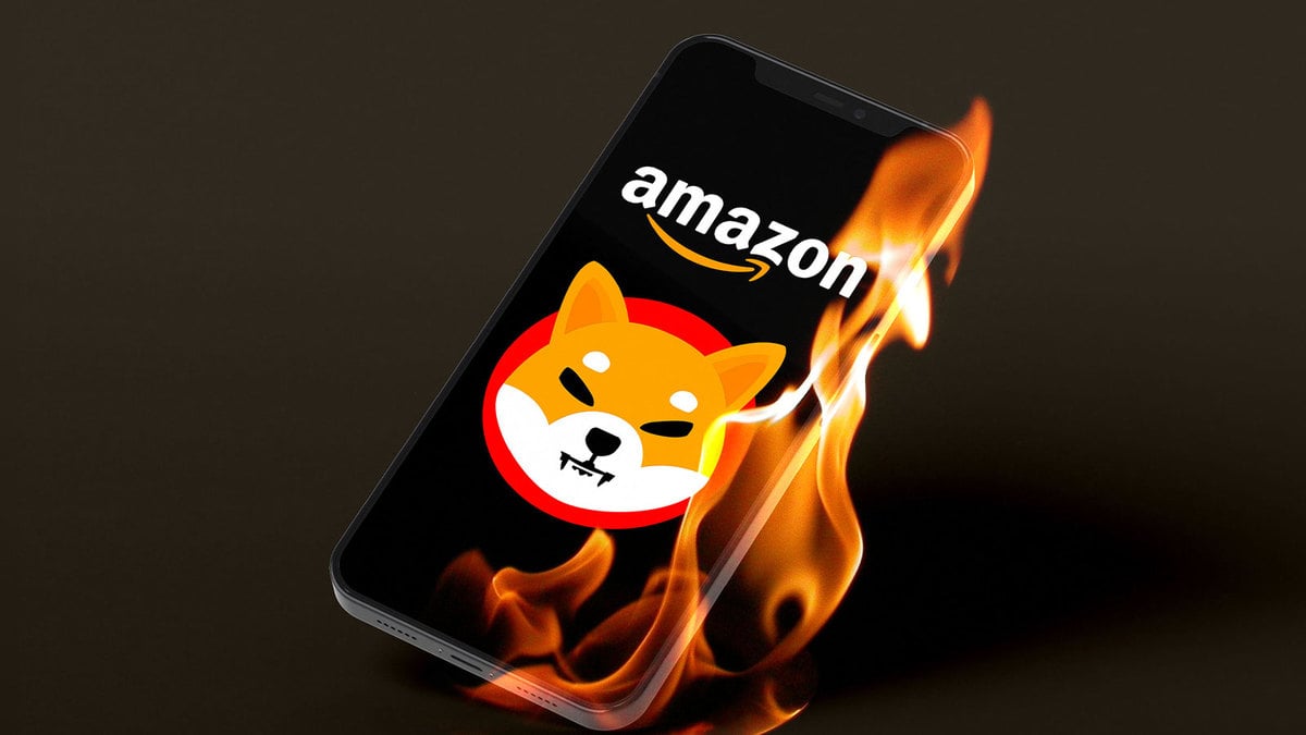 Amazon SHIB Burner: Next Few Days May Be Crucial for Burning Record Amount of SHIB