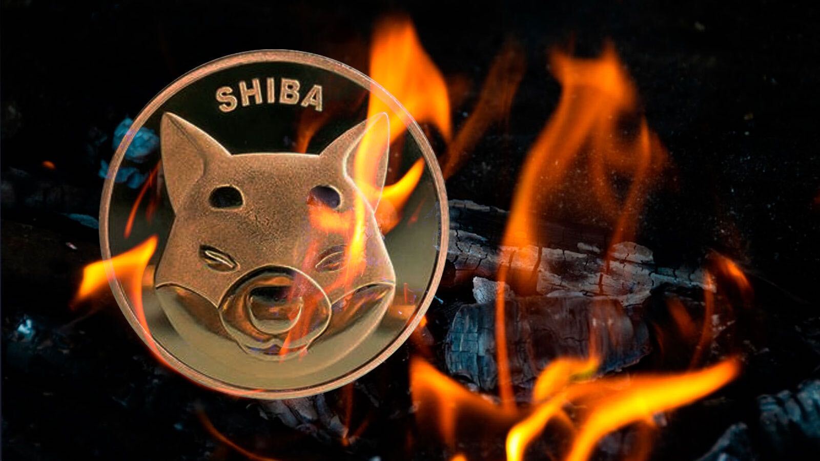 Shiba Inu Records 3,6 Billion SHIB Burned In August with Only 59% Of Initial Supply Left