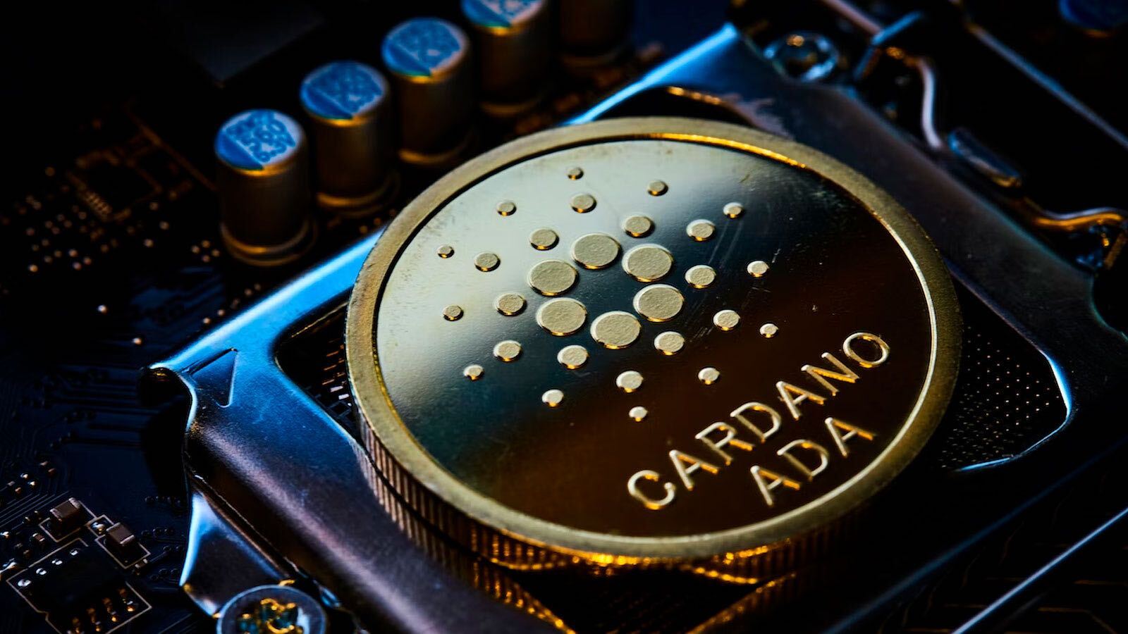 Cardano Has One Project a Day Built On It with The Total Number of 1076