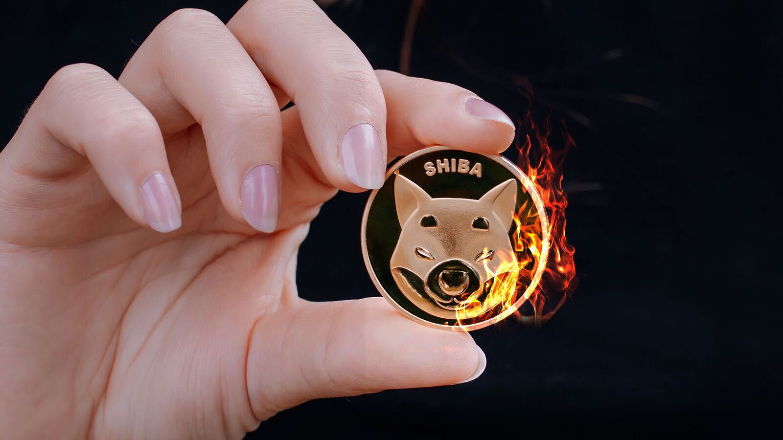Shiba Inu Lead Developer Provides Important Update On SHIB Burning Mechanism