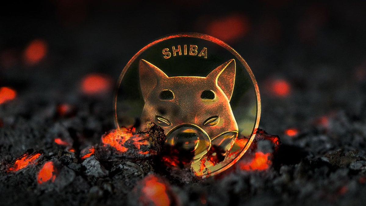 SHIB Burns Drop to 2 Million in Past 24 Hours – What’s Happening?