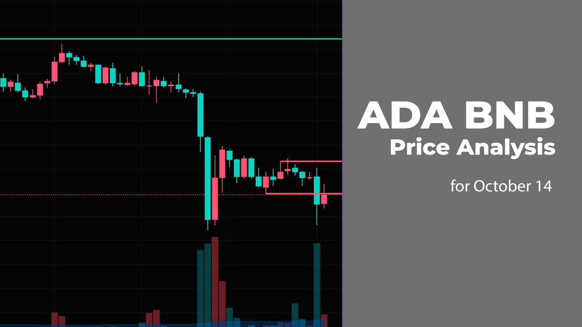 ADA and BNB Price Analysis for October 14