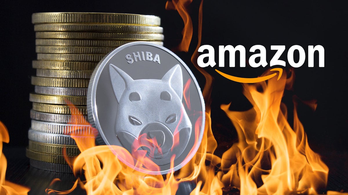 “Amazon SHIB Burner” Intends to Catch Up with September Burns As SHIB Army Removes 385 Million This Week