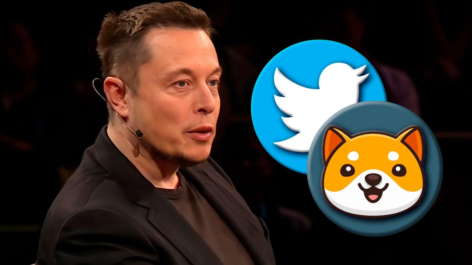 BabyDoge Community Responds to Elon Musk’s Tweet, Price Briefly Jumps