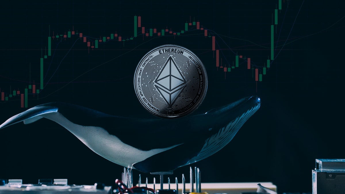 Here’s What Ethereum Whales Purchase Massively to Protect From Bear Market
