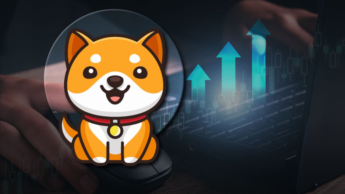 BabyDoge Price Jumps on This New Exchange Listing: Details