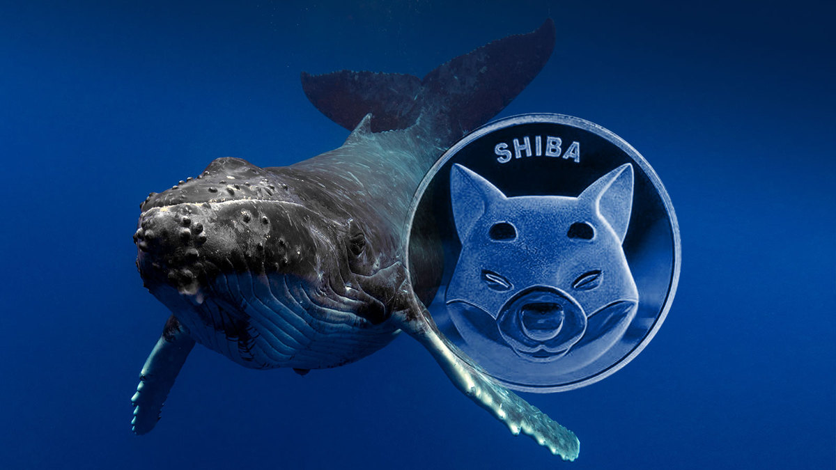 Shiba Inu: Mysterious Whales Move Trillions of SHIB as Transactions Jump 154%
