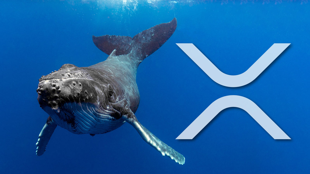 Massive XRP Whales Shift 313 Million XRP in One Fell Swoop: Details