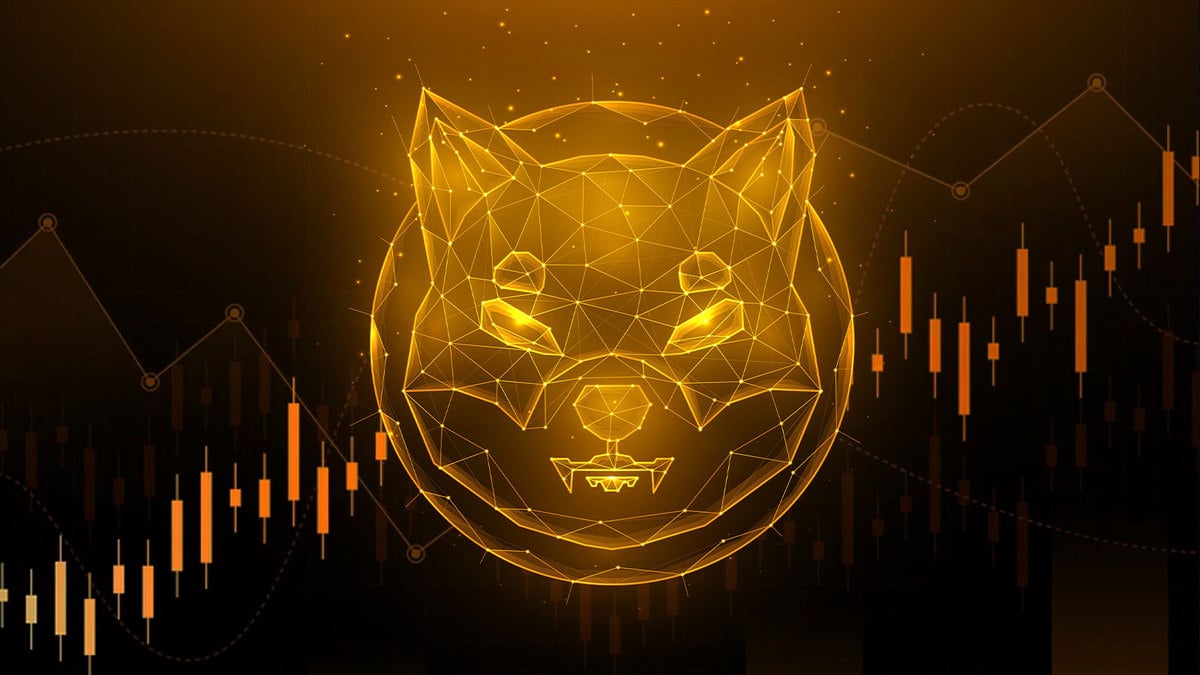 SHIB 30% Price Rally Puts It On Top 3 Most Profitable Cryptocurrencies