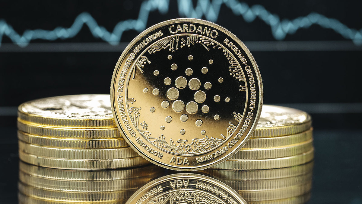 Cardano Reports Onchain Growth in October, Here Are Details