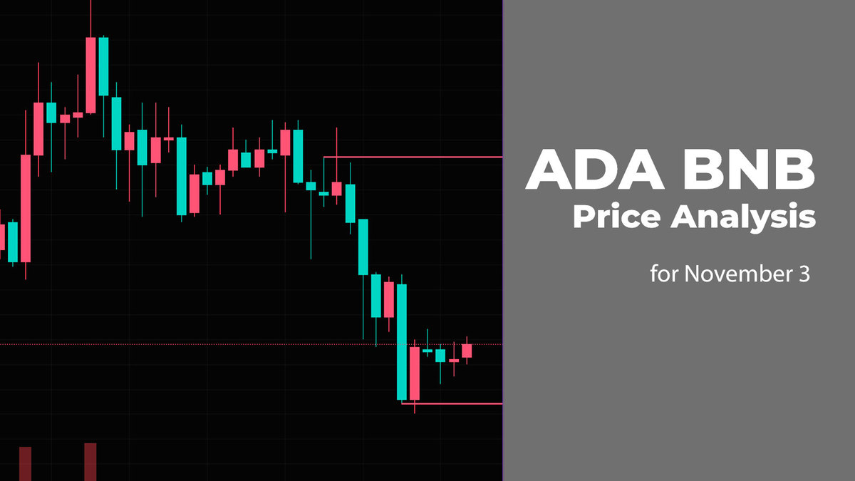 ADA and BNB Price Analysis for November 3