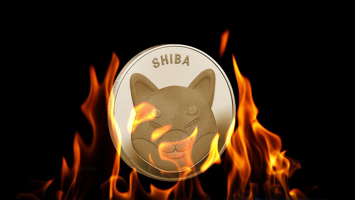 SHIB Burn Rate Up 5800% as Shiba Inu Sets Key Milestone