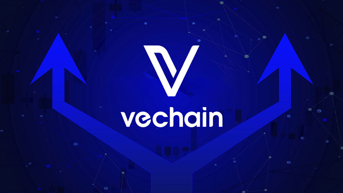 VeChain’s Biggest Mainnet Hard Fork Set To Deploy, Price Reacts