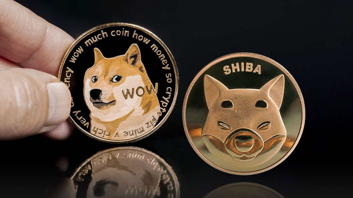 Doge Founder Slams Shiba Inu, Here’s What For This Time